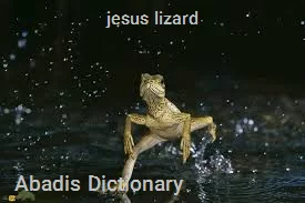 jesus lizard